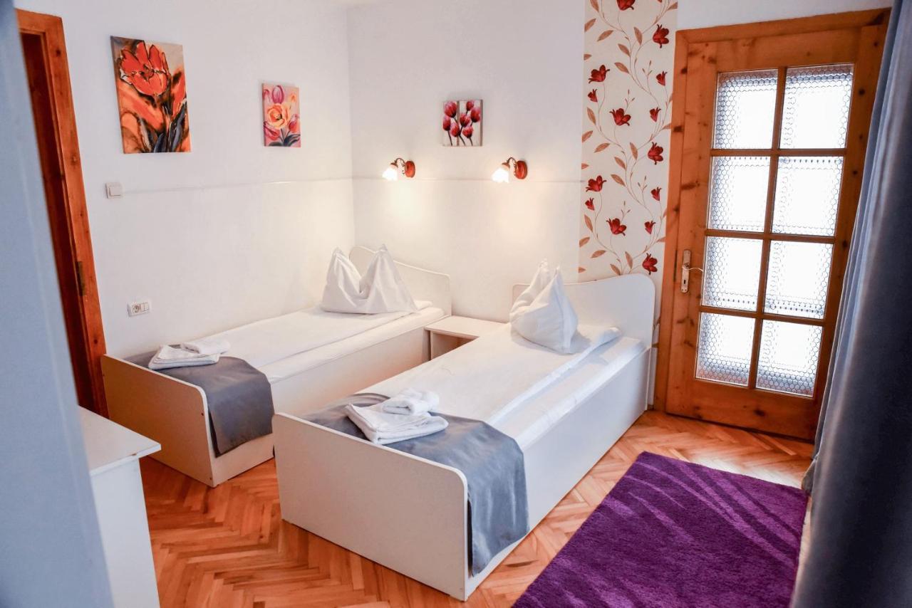 Pensiunea Vila Silva I Haţeg Dış mekan fotoğraf