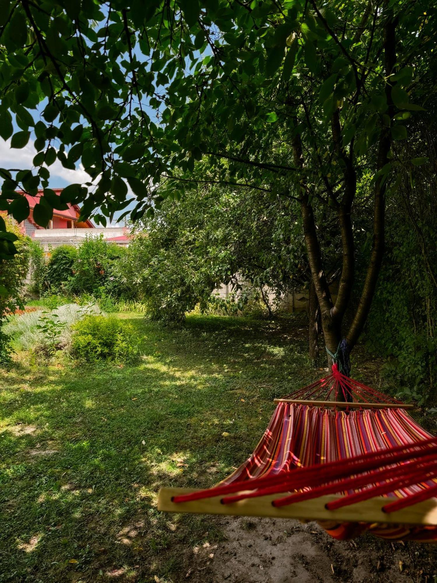 Pensiunea Vila Silva I Haţeg Dış mekan fotoğraf