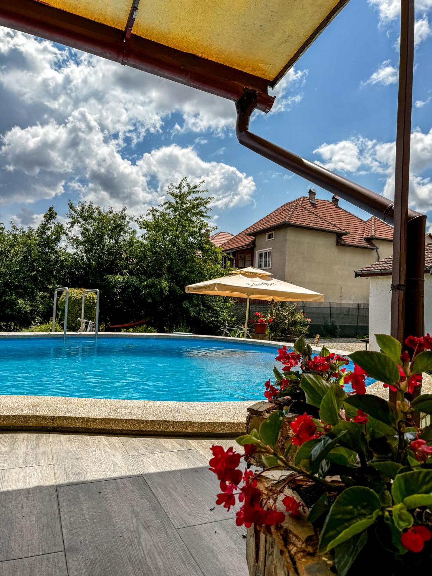 Pensiunea Vila Silva I Haţeg Dış mekan fotoğraf