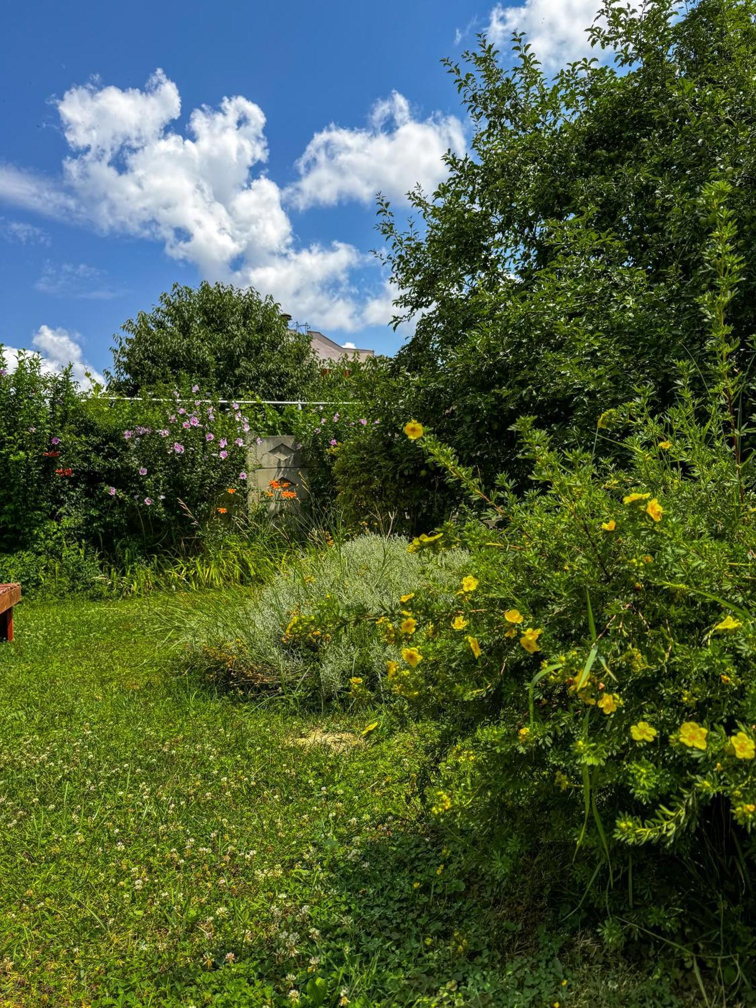Pensiunea Vila Silva I Haţeg Dış mekan fotoğraf